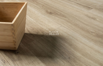 IVC Ultimo (DryBack) IVC Ultimo 24219Q фото 10 | FLOORDEALER